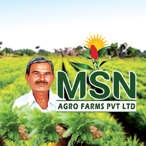 MSN Agro Farms Logo
